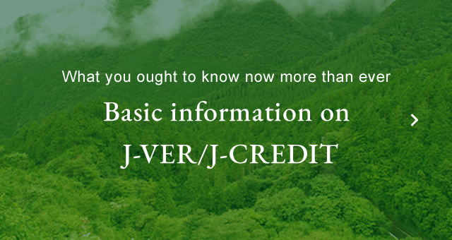 Basic information on J-VER/J-CREDIT