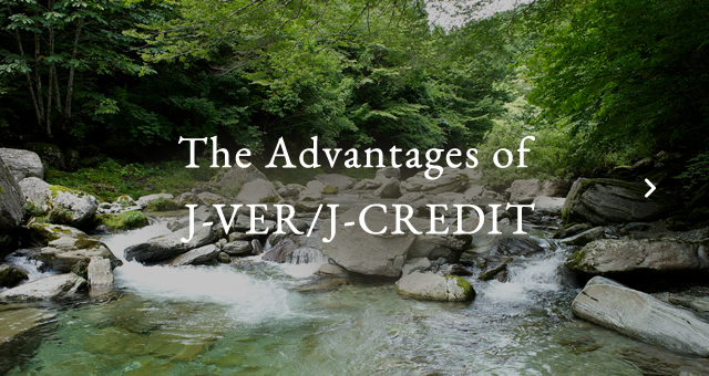 The Advantages of J-VER/J-CREDIT