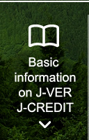 Basic information on J-VER/J-CREDIT