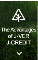 The Advantages of J-VER/J-CREDIT