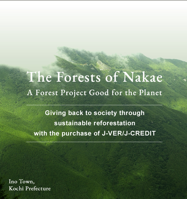 The Forests of Nakae. A Forest Project Good for the Planet.