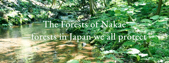 The Forests of Nakae—forests in Japan we all protect