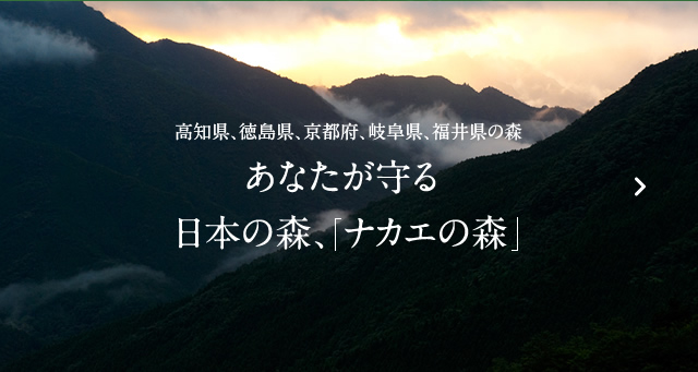 あなたが守る日本の森、ナカエの森